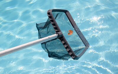 What is a Swimming Pool Skimmer Used For?