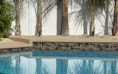 The Ultimate Guide to Maintaining Pool Tiles: Best Tips for Longevity and Beauty